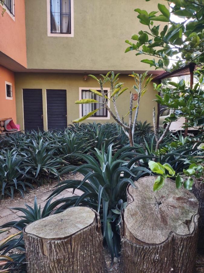 Tu Casa Oaxaca... Hotel Exterior photo
